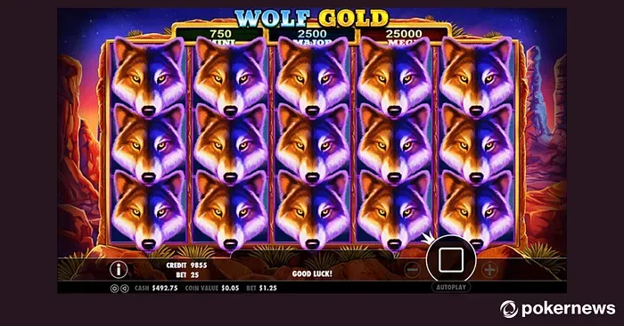 Wolf Gold Wolf Gold slot game interface displaying multiple wolf symbols